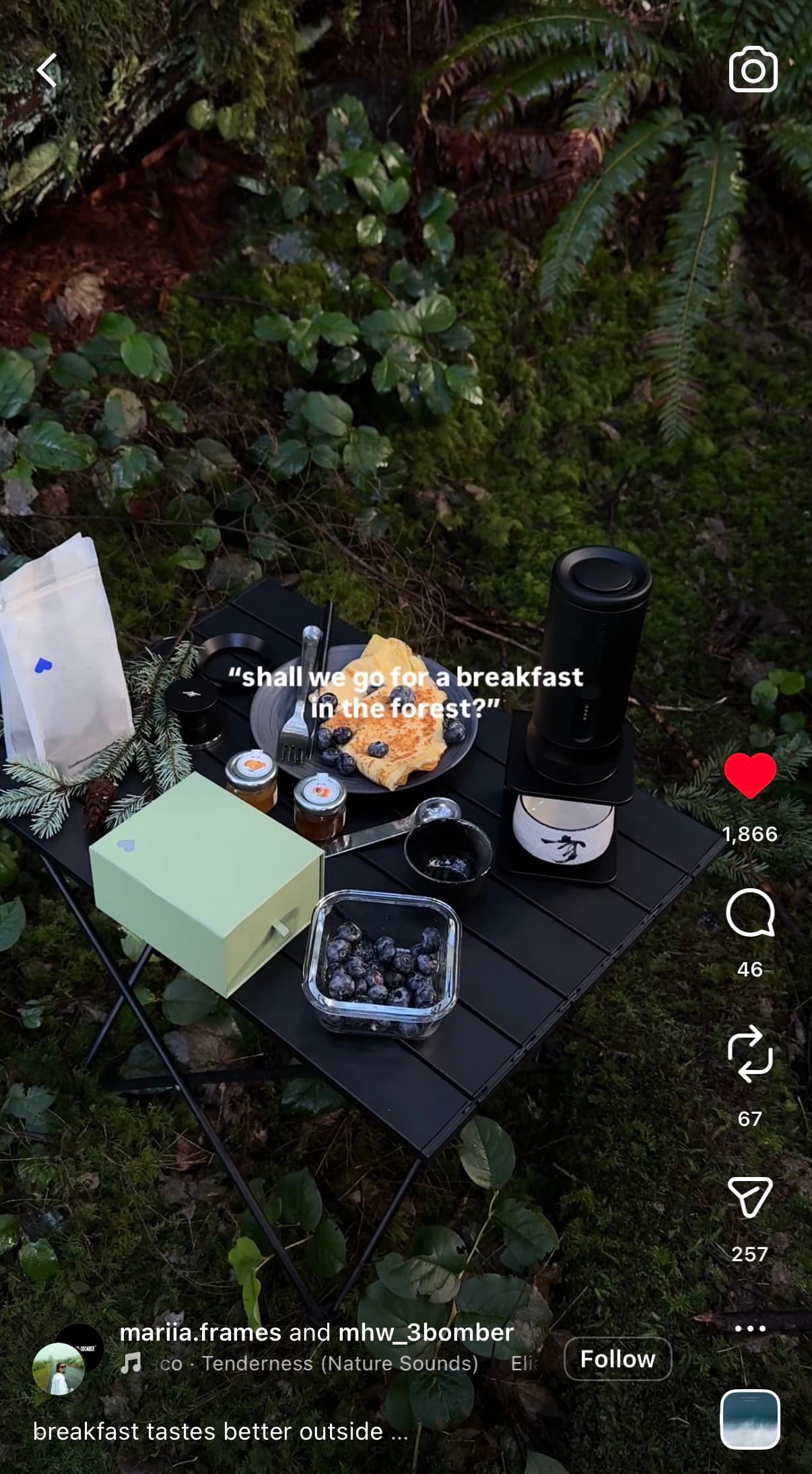 Reel — breakfast in the forest