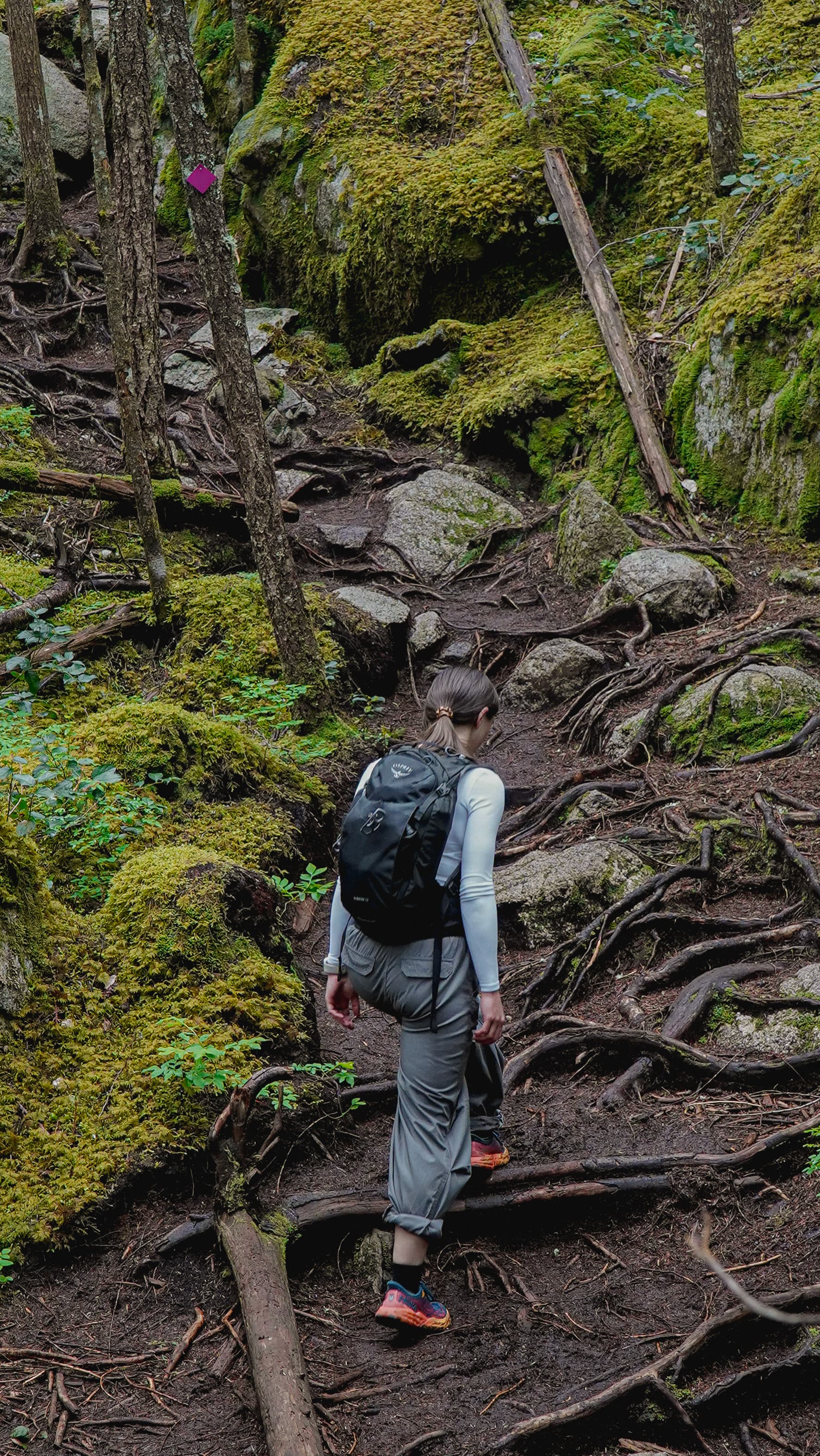Outdoor gear content — hiker on mossy forest trail
